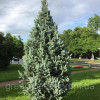 Висота, см: 65. Ширина, см: 25. Довжина, см: 23