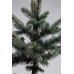 Ялина колюча Олденбург (Picea pungens Oldenburg)/h45-55