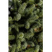 Ялиця іспанська Хорстман (Abies pinsapo Horstmann) h30-40